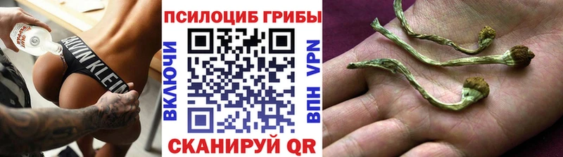 Псилоцибиновые грибы GOLDEN TEACHER  Собинка 
